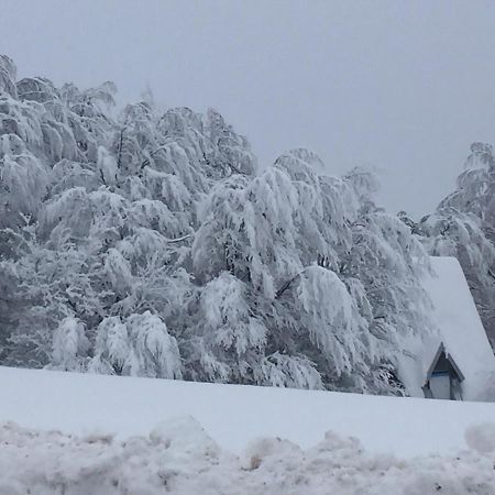 Golija Vikendica Cesta Vrela Villa Raška Esterno foto