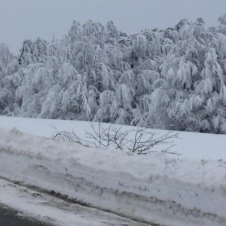 Golija Vikendica Cesta Vrela Villa Raška Esterno foto