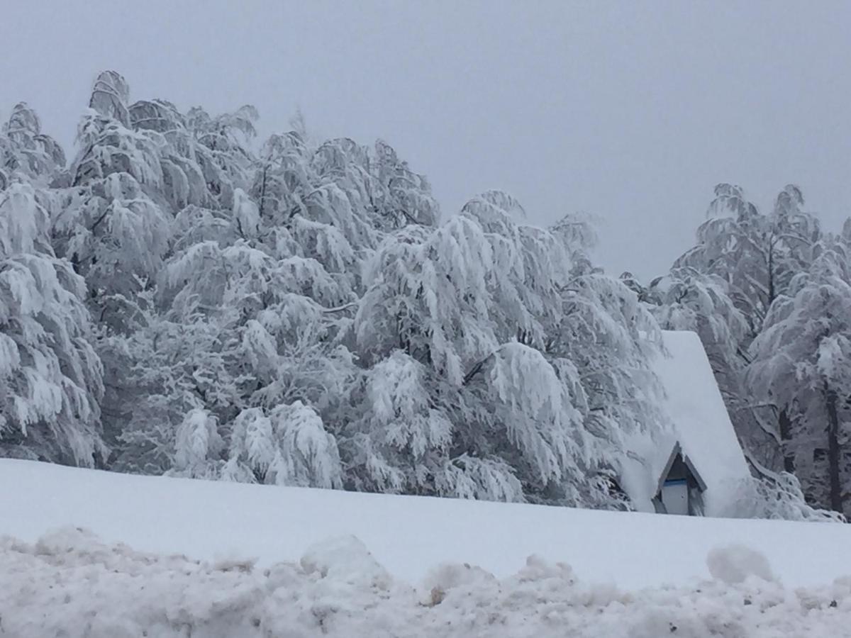 Golija Vikendica Cesta Vrela Villa Raška Esterno foto