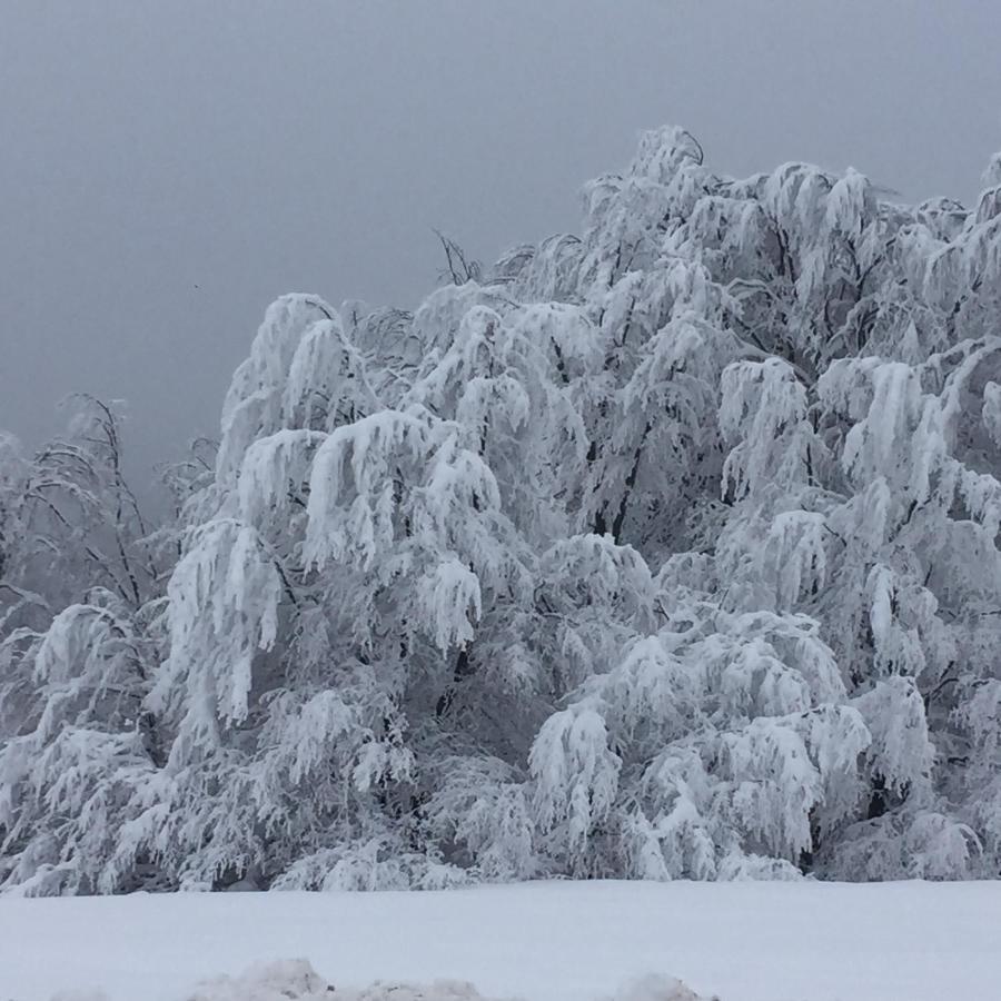 Golija Vikendica Cesta Vrela Villa Raška Esterno foto