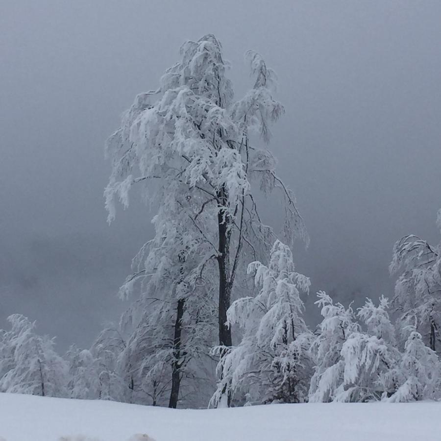 Golija Vikendica Cesta Vrela Villa Raška Esterno foto