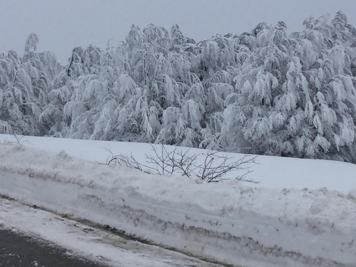 Golija Vikendica Cesta Vrela Villa Raška Esterno foto