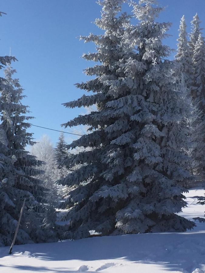 Golija Vikendica Cesta Vrela Villa Raška Esterno foto