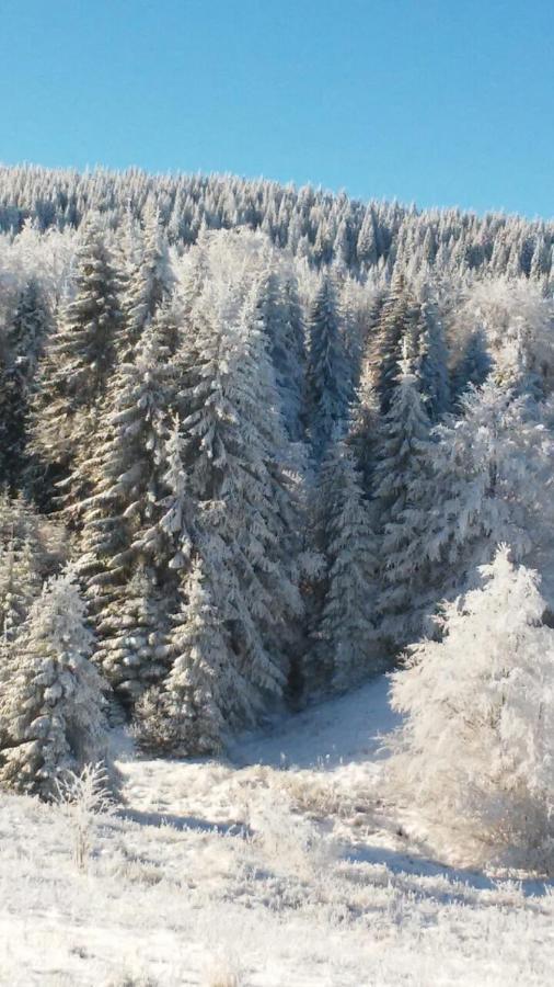 Golija Vikendica Cesta Vrela Villa Raška Esterno foto