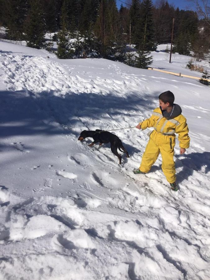 Golija Vikendica Cesta Vrela Villa Raška Esterno foto