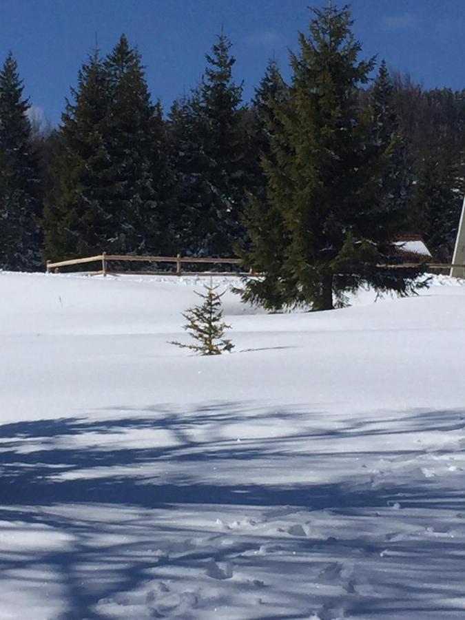 Golija Vikendica Cesta Vrela Villa Raška Esterno foto