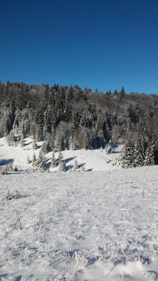 Golija Vikendica Cesta Vrela Villa Raška Esterno foto