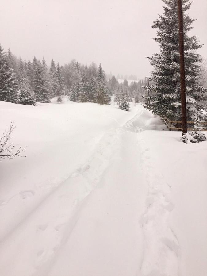 Golija Vikendica Cesta Vrela Villa Raška Esterno foto