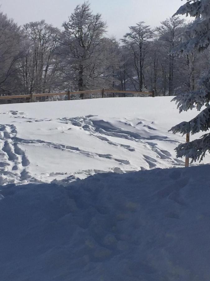 Golija Vikendica Cesta Vrela Villa Raška Esterno foto