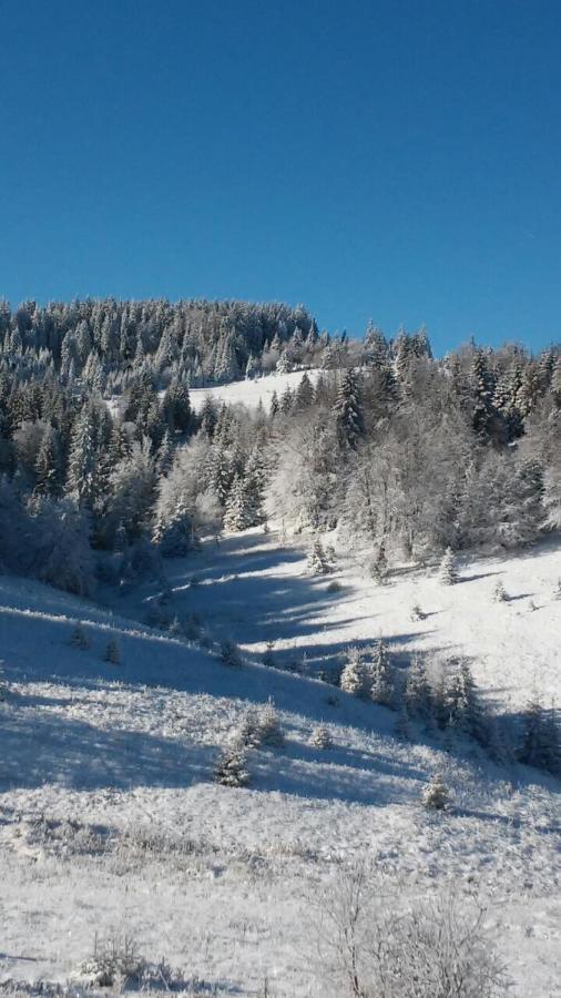 Golija Vikendica Cesta Vrela Villa Raška Esterno foto