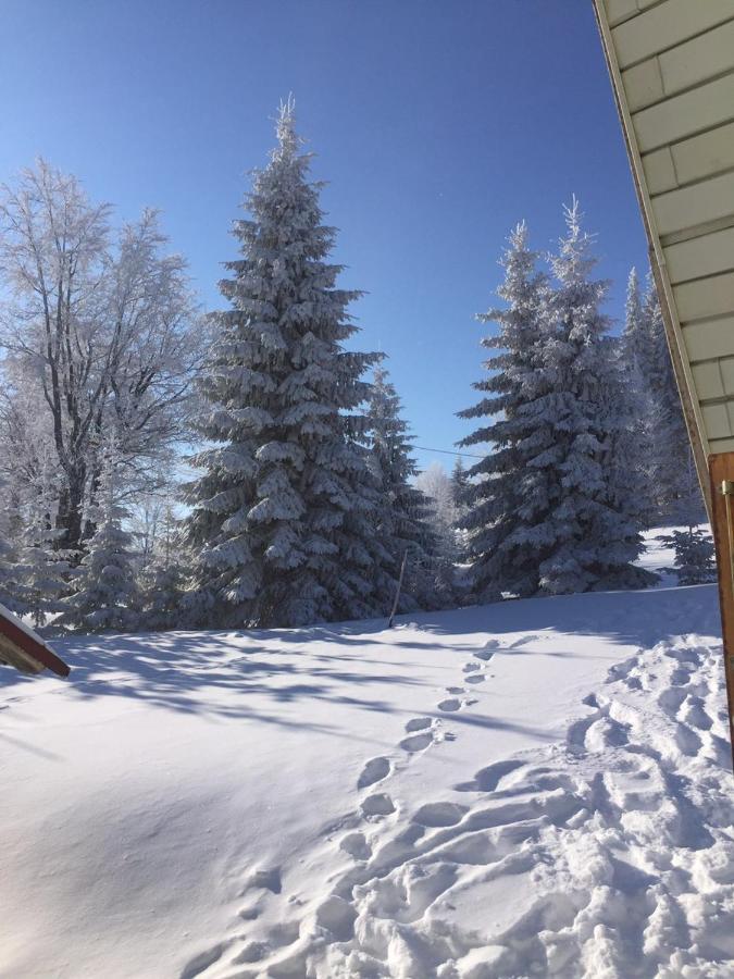 Golija Vikendica Cesta Vrela Villa Raška Esterno foto