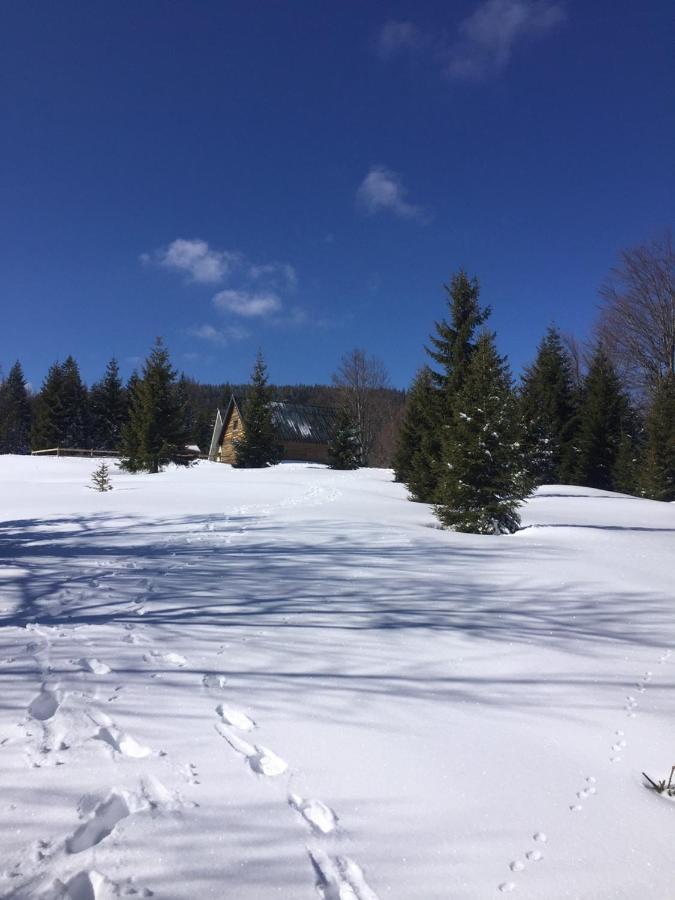 Golija Vikendica Cesta Vrela Villa Raška Esterno foto